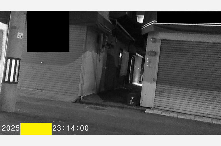 スナップショット- 73