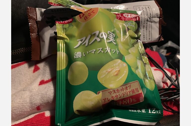 IMG_4237
