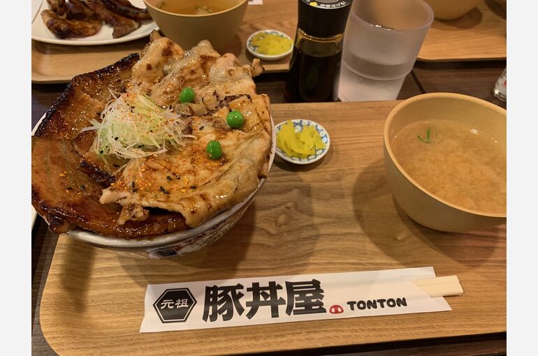 0415豚丼 (16)