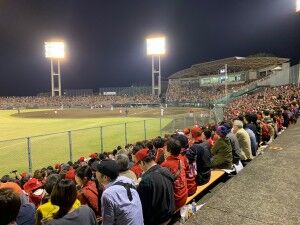 IMG_2604